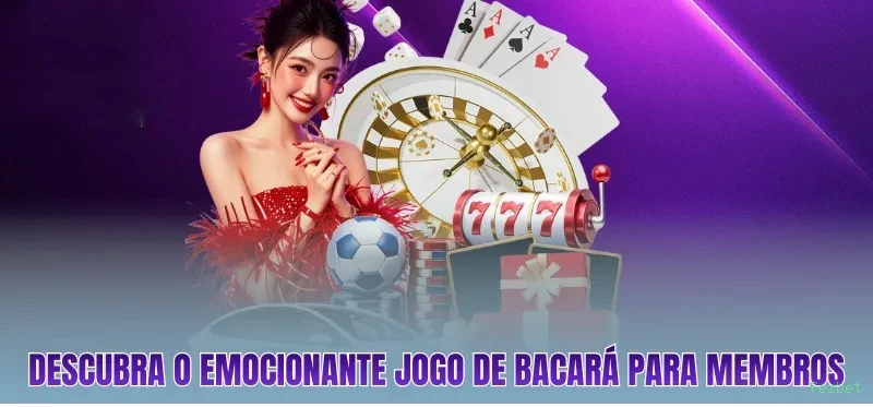 APP oficial da fezbet para mobile